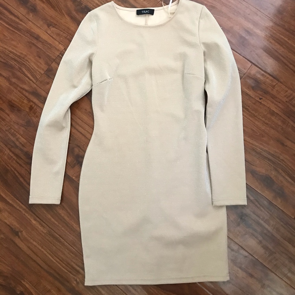 Boutique bodycon dress